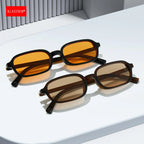 Vintage Rectangular Sunglasses With Polished Resin Frames