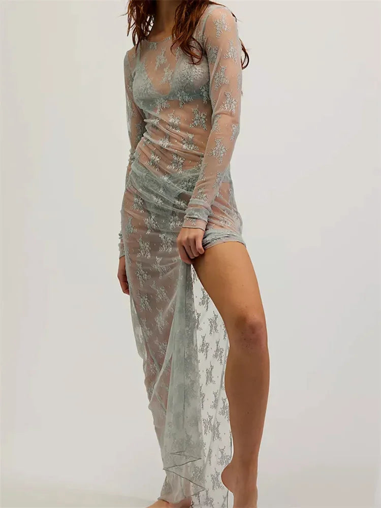 Sheer Lace Midi Long Sleeve Dress